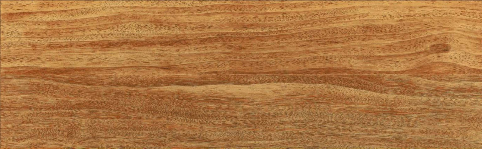 CUMARÚ TECA