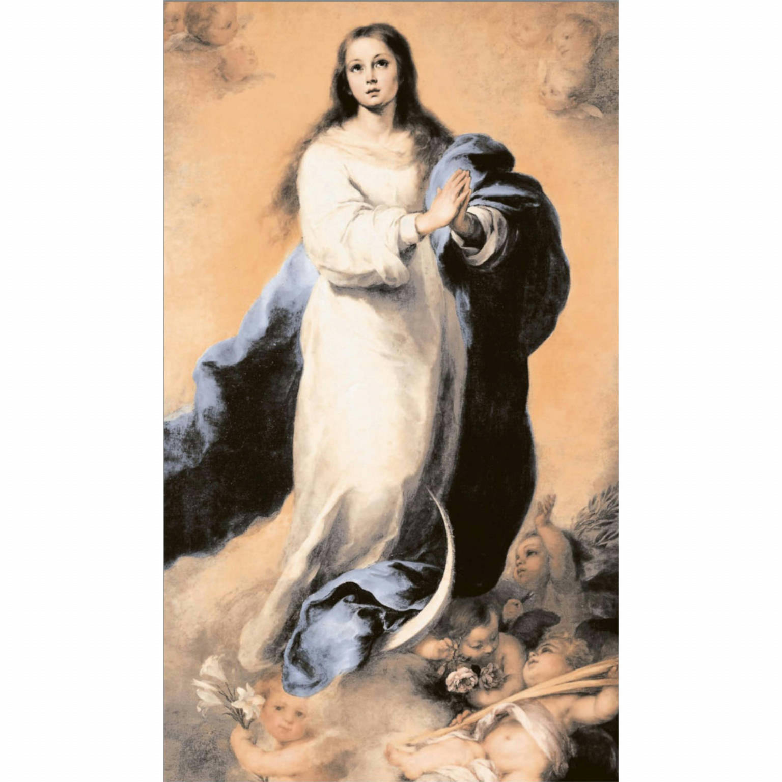 VIRGEN DE CONCEPCIÓN
