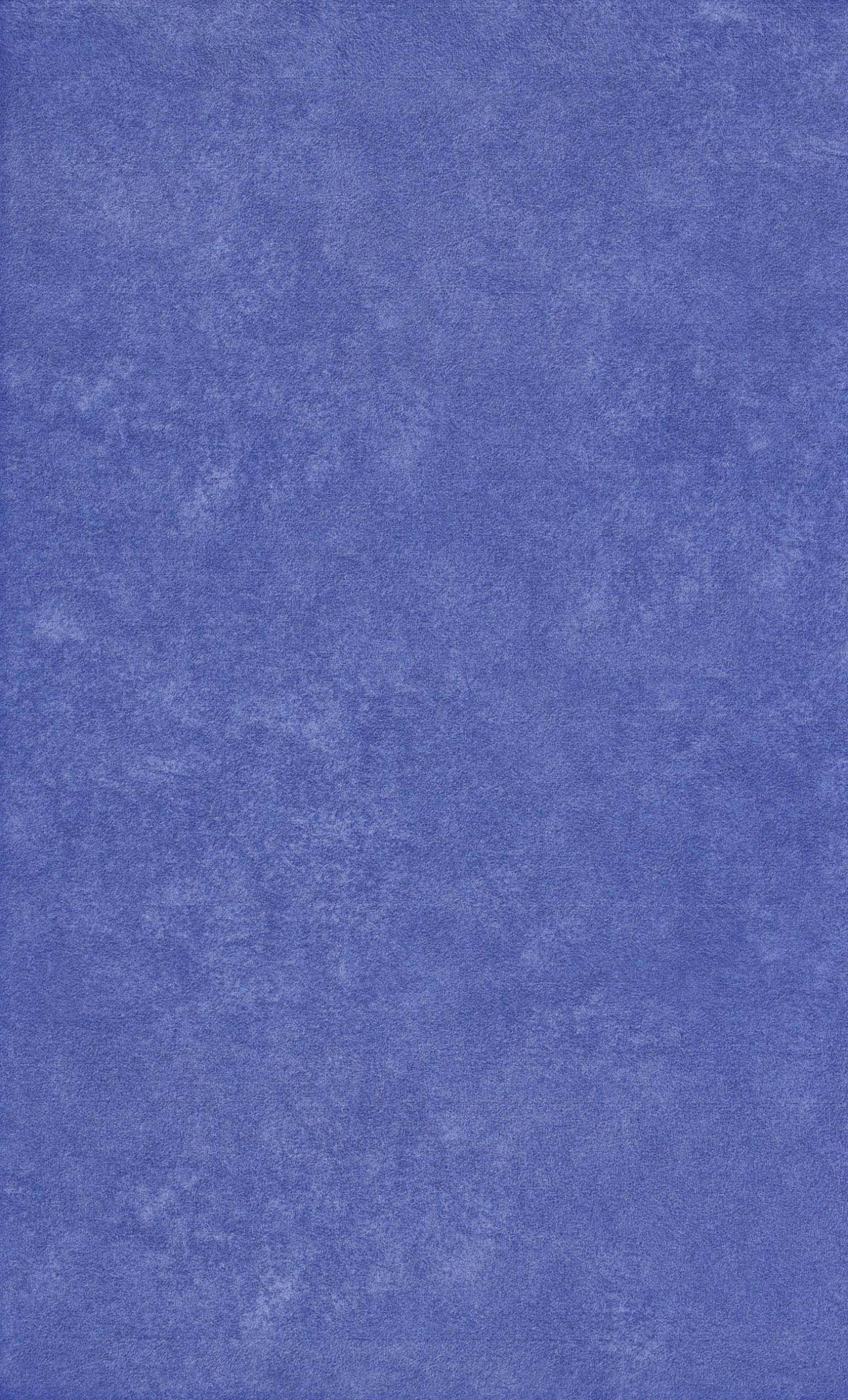 PALENQUE AZUL