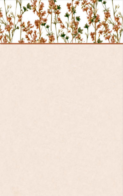 SONORA BEIGE