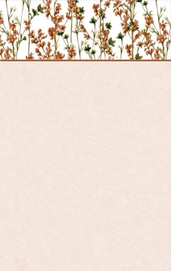 SONORA BEIGE