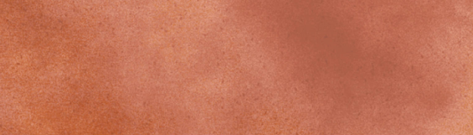 MEDELLÍN TERRACOTA 