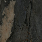 BOMBAY GRAFITO | Samboro