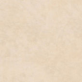 212 BEIGE | Samboro