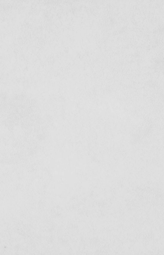 222 BLANCO  | Samboro