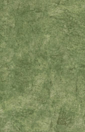 602 VERDE | Samboro
