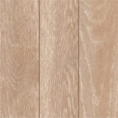 852 AVELLANA | Samboro