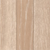 852 AVELLANA | Samboro